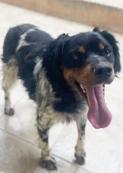 Rocky-202606-02