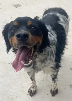 Rocky-202606-03