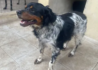 Rocky-202606-04