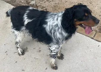 Rocky-202606-05